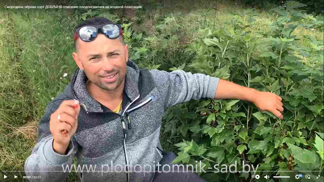 Превью видео